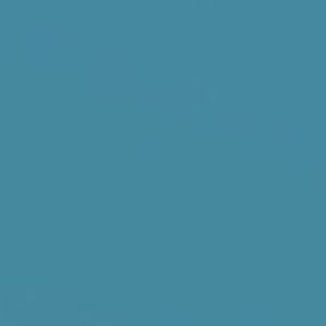 Meet your Posher, Riley